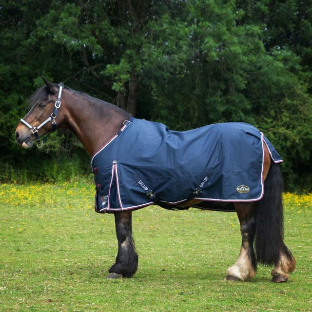 Gallop Gallop Trojan Duraproof 50G Standard Turnout