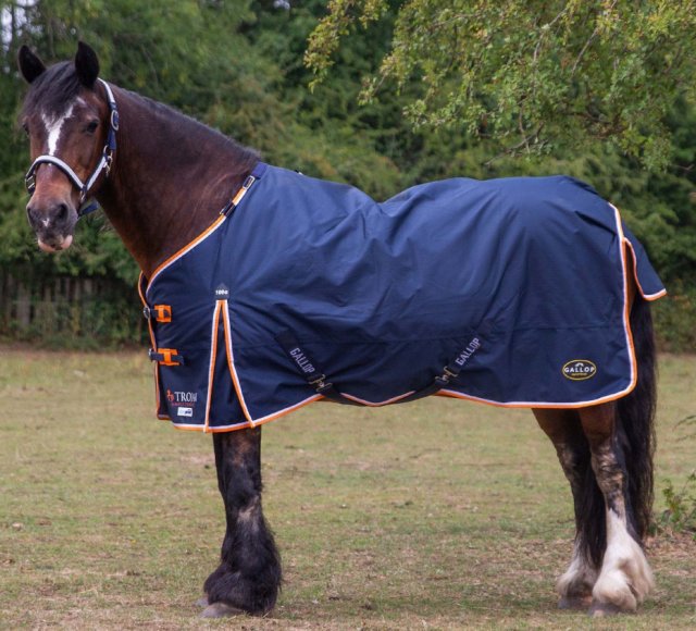 Gallop Gallop TROJAN 100g Duraproof Standard Neck Turnout Rug