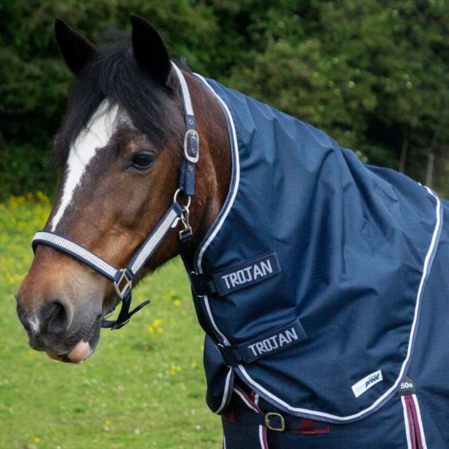 Gallop Gallop Duraproof LightWeight Neck Cover
