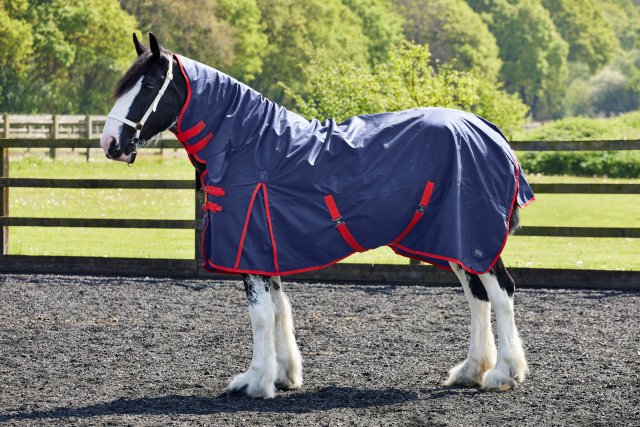 Firefoot Firefoot Fixed Neck 100G Turnout Rug