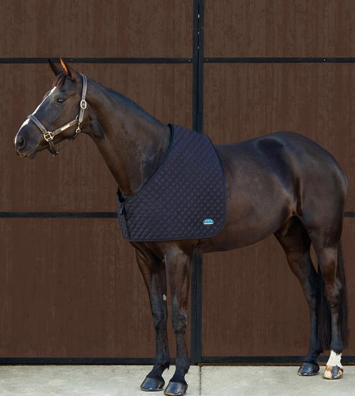 Weatherbeeta Weatherbeeta Deluxe Shoulder Guard