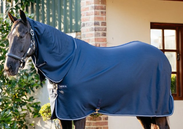 LeMieux Lemieux Arika Dryease Rug , Navy