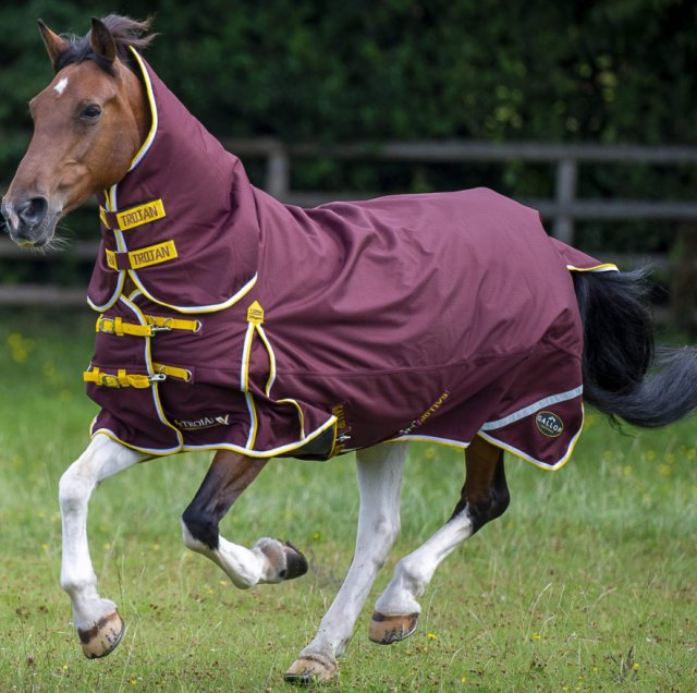 Gallop Gallop TROJAN Xtra Duraproof 200g Turnout Combo