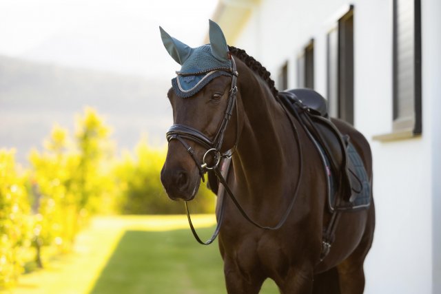 LeMieux LeMieux Loire Fly Hood