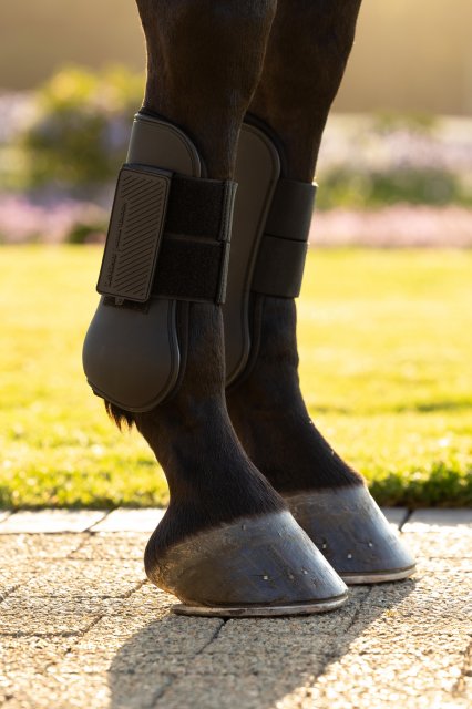 LeMieux LeMieux Arika Tendon Boot