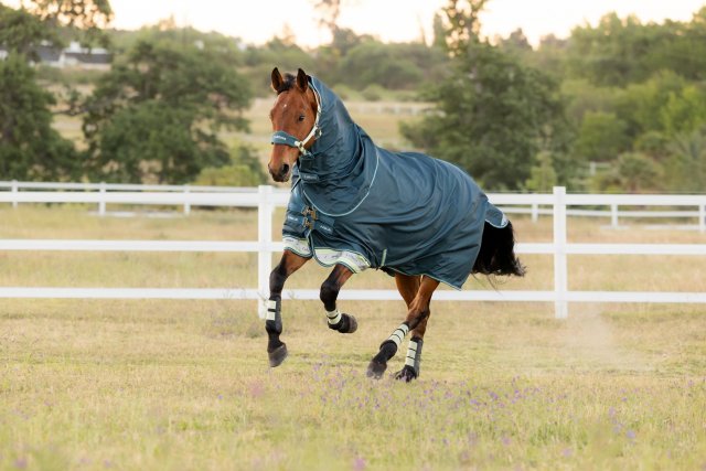 LeMieux LeMieux Arika Ripstop 50G Turnout Rug