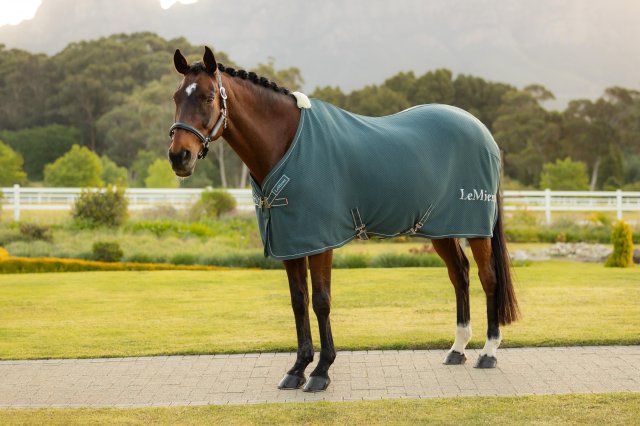 LeMieux LeMieux Kudos Bamboo Cooler