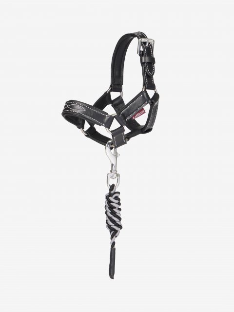 LeMieux LeMieux Toy Pony Leather Headcollar & Leadrope