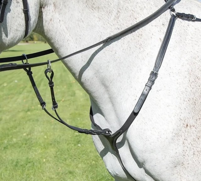 Shires Shires Avignon Breastplate