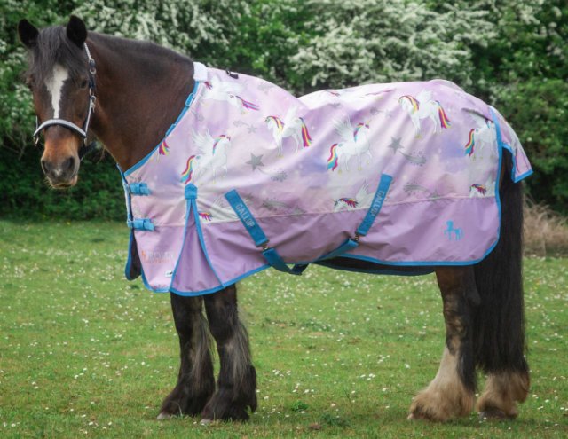 Gallop GALLOP TROJAN 'Pegacorn' Duraproof Lightweight Turnout