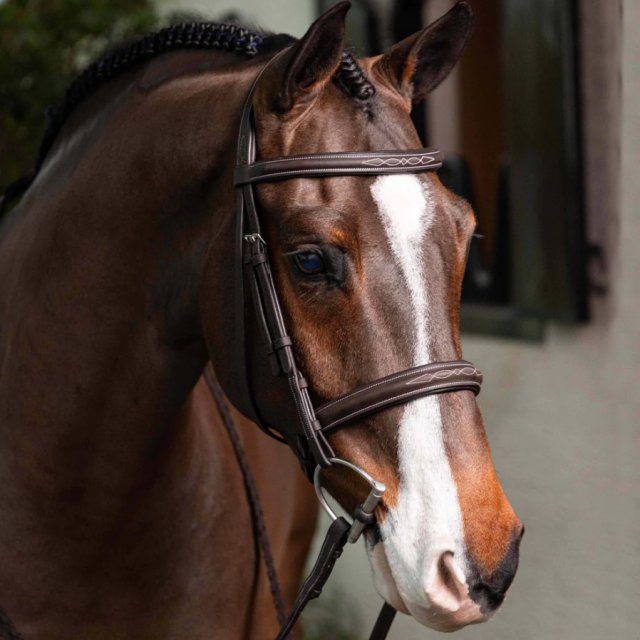 LeMieux LeMieux Stitched Hunter Bridle with Laced Reins