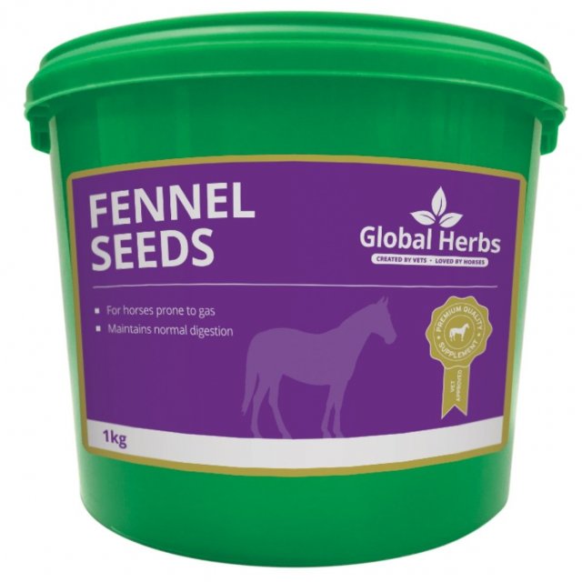 Global Herbs Global Herbs Fennel 1kg