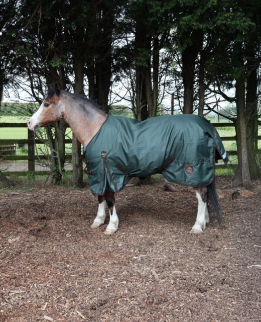 Perf Equine PERF EQUINE 200G STANDARD DARK GREEN