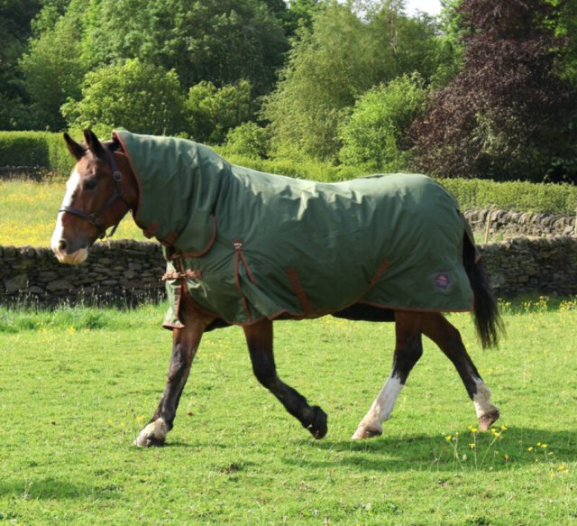 Perf Equine   PERF EQUINE 100 COMBO OLIVE