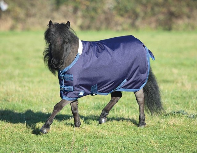 Shires Equestrian Shires Miniature Highlander Turnout