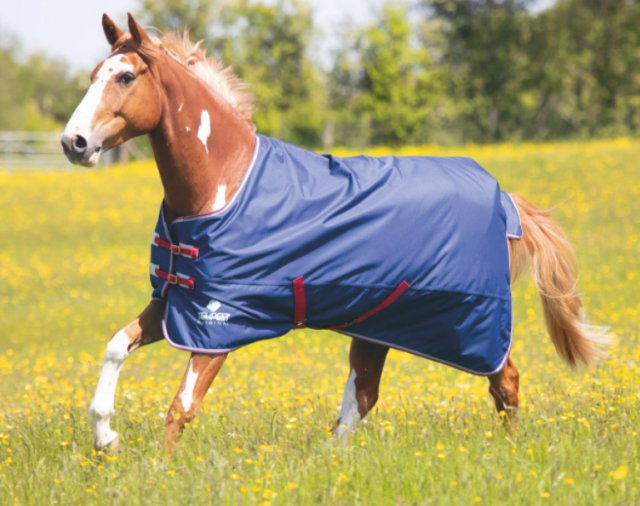 Shires Equestrian Shires Tempest Original Air Motion Navy