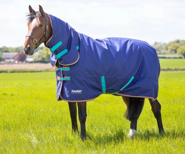 Shires Equestrian Shires Tempest Original 100 Combo Turnout Rug