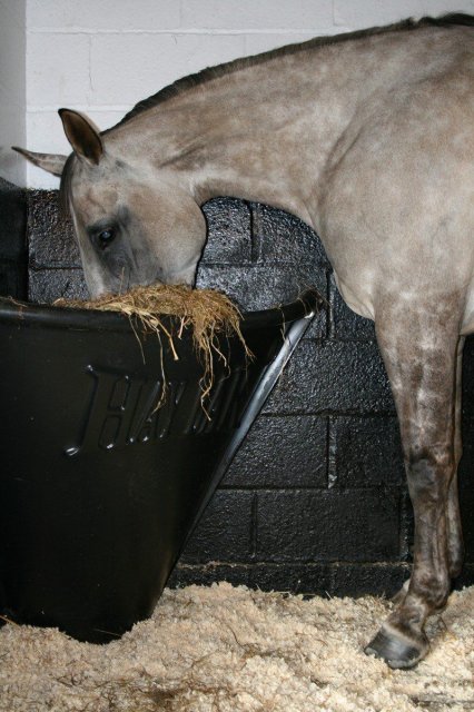 Unbranded Hay Bar