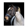 Equilibrium Equestrian Equilibrium Stellar Head Collar