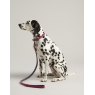 Joules JOULES LEATHER DOG LEAD