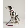 Joules Joules Leather Dog Lead