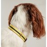 Joules Joules Striped Dog Collar