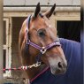 John Whitaker Whitaker Airflow Fleece Head Collar With Leadrope Set