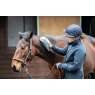 Equilibrium Equestrian Equilibrium Massage Mitt Hotspot