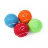 Zoon Squeaky Pooch Tennis Balls