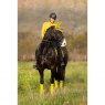 LeMieux LeMieux Classic Lycra Fly Hood Dijon