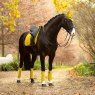 LeMieux LeMieux Prospect Dijon Dressage Suede Square