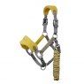 LeMieux LeMieux Vogue Headcollar & Rope Set Dijon