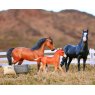 Breyer Breyer Spanish Mustang Family