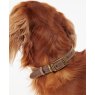 Barbour BARBOUR LEATHER DOG COLLAR