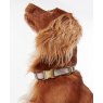 Barbour Barbour Reflective Dog Collar