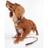 Barbour BARBOUR REFLECTIVE DOG LEAD