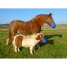 Ultimate Horse And Pony Grazing Muzzle