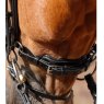 Premier Equine PREMIER EQUINE Savuto Anatomic Bridle with Crank Noseband & Flash