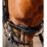 Premier Equine Premier Equine Savuto Anatomic Bridle With Crank Noseband & Flash