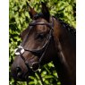 Premier Equine Premier Equine Glorioso Grackle Bridle