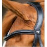 Premier Equine Premier Equine Glorioso Grackle Bridle Black