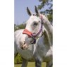 LeMieux LeMieux Vogue Fleece Headcollar & Rope Set - Papaya