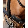 Premier Equine Premier Equine Rizzo Anatomic Snaffle Bridle With Flash Brown