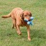 Zoon Zoon Squeaky 15cm Pooch Jack