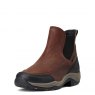 Ariat Terrain Blaze Waterproof Boot Pull On