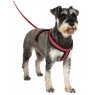 Company of Animals Halti Comfy Harness