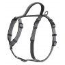 Company of Animals Halti Walking Harness