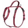 Company of Animals Halti Walking Harness