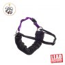 Ancol Ancol Pdl Harness & Lead - Large