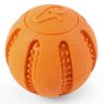Zoon Zoon 9cm Rubber Squeak Ball
